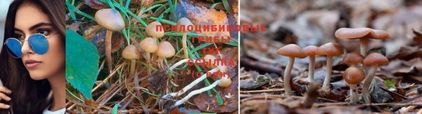MESCALINE Бугульма
