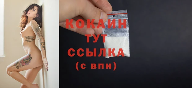 дурь Бородино
