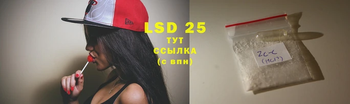 дурь Бородино