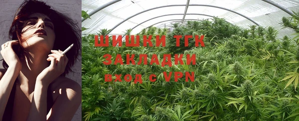дурь Бородино