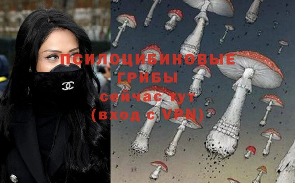 дурь Бородино