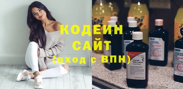 дурь Бородино