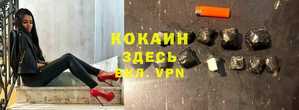 дурь Бородино